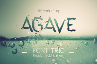 Agave Font Trio for Handmade Product Design