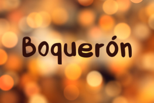 Boquerón Font: A Handwritten Brush Typeface for Branding