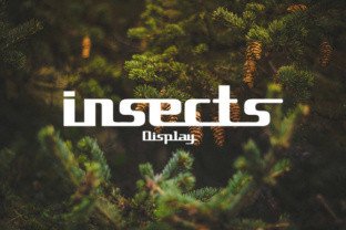 Insects: A 90s Display Font for Retro-Futurist Creatives