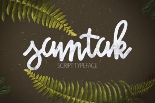 Samtak Script: A Marker-Style Display Font for Bold Branding
